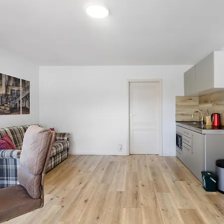 Bergblick 公寓 博登斯边的拉多夫采尔